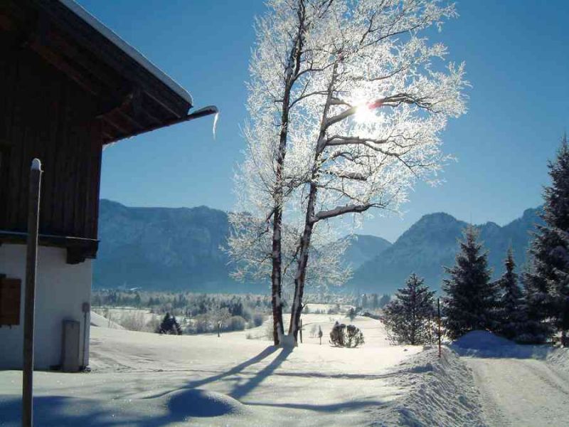 1783 chiemgau winter 03